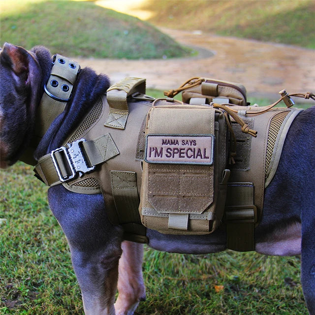 Tactical No Pull Dog Harness™ v3 With Free Double Handle  Lease